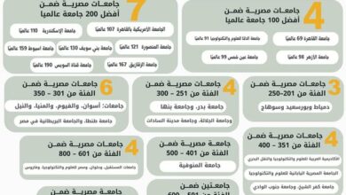 4 جامعات مصرية ضمن أفضل 100 جامعة في تصنيف التايمز للتخصصات البينية