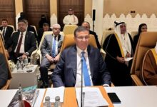 وزير الزراعة: مصر الأولى عالميًا في إنتاج التمور وتمتلك أكثر من 24 مليون نخلة