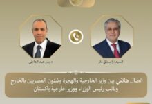 اتصال هاتفي بين وزير خارجية مصر ونظيره الباكستاني لبحث سبل التعاون بين البلدين
