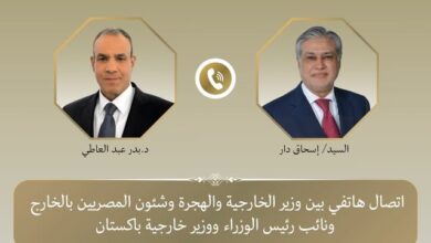 اتصال هاتفي بين وزير خارجية مصر ونظيره الباكستاني لبحث سبل التعاون بين البلدين