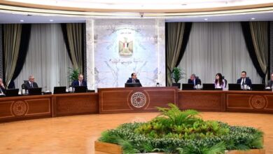 رئيس الوزراء يتابع إجراءات دخول السائحين عبر تطبيق منظومة التأشيرة الإلكترونية رئيس الوزراء يتابع إجراءات دخول السائحين عبر تطبيق منظومة التأشيرة الإلكترونية