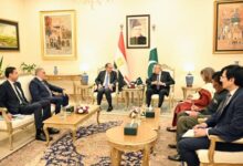  مشاورات سياسية بين وزيرى الخارجية المصري والباكستاني في إسلام آباد