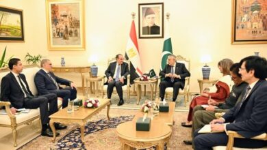  مشاورات سياسية بين وزيرى الخارجية المصري والباكستاني في إسلام آباد