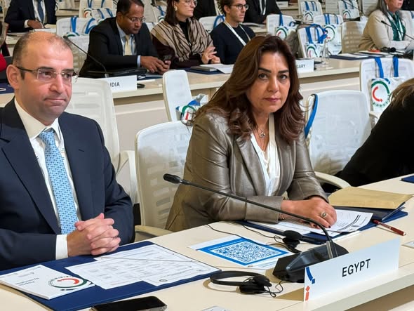 «اليونيدو» تنفذ 21 مشروعًا في مصر بقيمة 61 مليون دولار «اليونيدو» تنفذ 21 مشروعًا في مصر بقيمة 61 مليون دولار