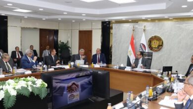 القابضة للأدوية تحقق إيرادات بقيمة 11.6 مليار جنيه بنهاية يونيو 2025