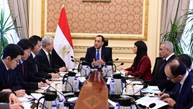 رئيس الوزراء يلتقي رئيس الوكالة اليابانية للتعاون الدولي “الجايكا”