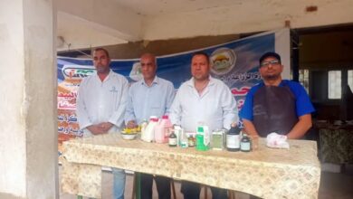 “البحوث الزراعية” يطلق 3 قوافل بيطرية مجانية في القليوبية لدعم صغار المربين