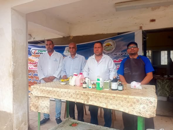 “البحوث الزراعية” يطلق 3 قوافل بيطرية مجانية في القليوبية لدعم صغار المربين “البحوث الزراعية” يطلق 3 قوافل بيطرية مجانية في القليوبية لدعم صغار المربين