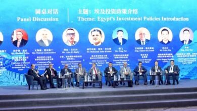 2000 شركة.. حجم الاستثمارات الصينية في مصر يتخطى حاجز الـ8 مليارات جنيه