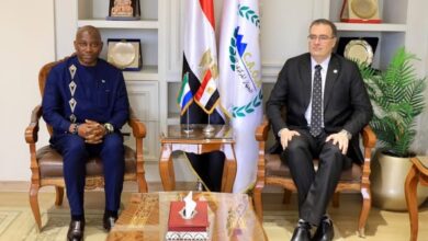 مصر وسيراليون تبحثان نقل الخبرات في مجال الإصلاح الإداري