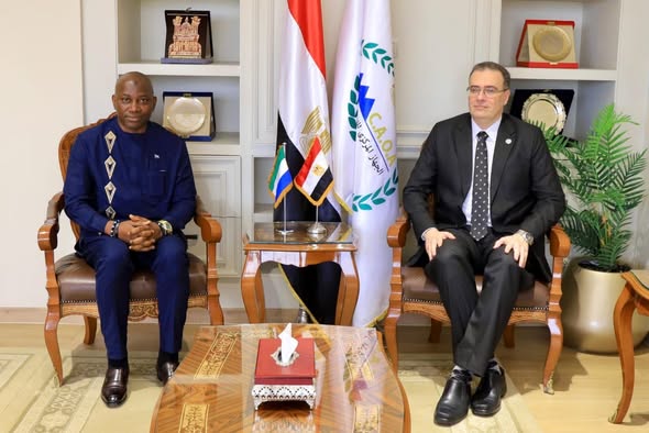 مصر وسيراليون تبحثان نقل الخبرات في مجال الإصلاح الإداري