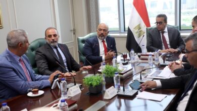 “إي آند مصر” ووزارة الصحة تبحثان تسريع التحول الرقمي في المنظومة الصحية