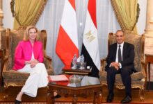 وزير الخارجية لنظيرته النمساوية: نسعى لتعزيز مسارات العلاقات الثنائية والتنسيق إزاء القضايا الدولية والإقليمية المشتركة