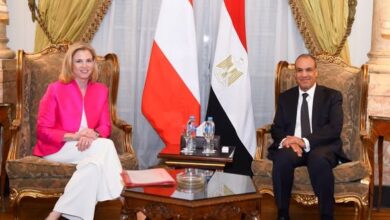 وزير الخارجية لنظيرته النمساوية: نسعى لتعزيز مسارات العلاقات الثنائية والتنسيق إزاء القضايا الدولية والإقليمية المشتركة