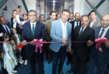 أعلى قيمة تاريخية.. صادرات التمور المصرية تسجل 105.62 مليون دولار في 2024.