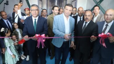 أعلى قيمة تاريخية.. صادرات التمور المصرية تسجل 105.62 مليون دولار في 2024.