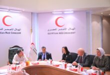 الهلال الأحمر المصري قدّم أكثر من 650 ألف طن مساعدات لقطاع غزة