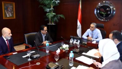 بتكلفة 210 ملايين دولار.. “ديستني إنرجي سنغافورة” تنشئ مصنعاً لإنتاج 100 ألف طن أمونيا خضراء سنوياً في مصر