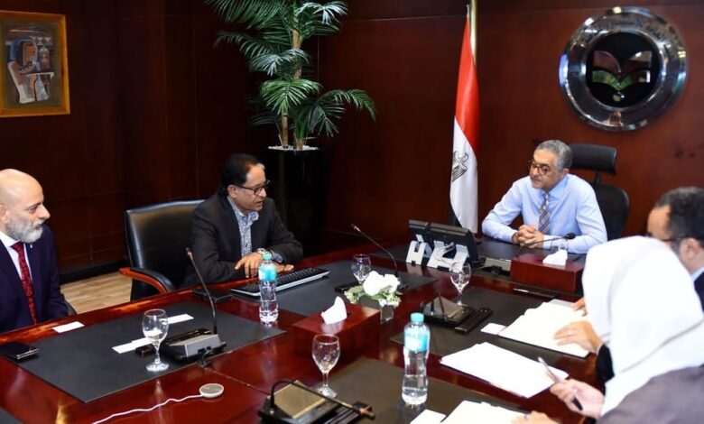 بتكلفة 210 ملايين دولار.. “ديستني إنرجي سنغافورة” تنشئ مصنعاً لإنتاج 100 ألف طن أمونيا خضراء سنوياً في مصر