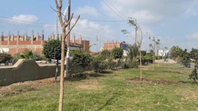 انطلاق المرحلة الرابعة من المبادرة الرئاسية “100 مليون شجرة” بمحافظة الشرقية