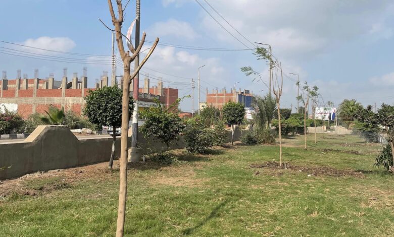 انطلاق المرحلة الرابعة من المبادرة الرئاسية “100 مليون شجرة” بمحافظة الشرقية