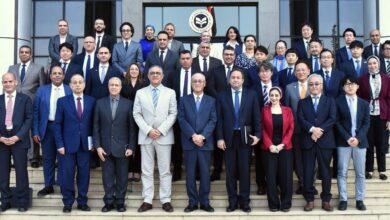 اللجنة المصرية اليابانية تبحث خارطة طريق جديدة لتعزيز الاستثمارات اليابانية في مصو