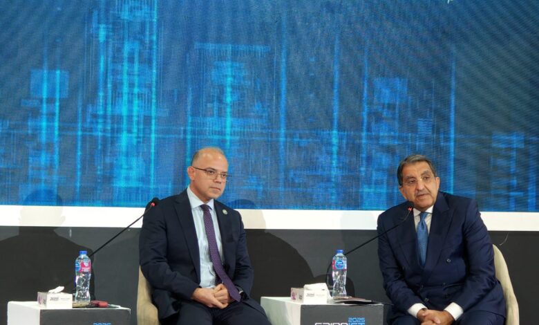 إبراهيم سرحان: «إي فاينانس» حقتت طفرة في مشروعاتها الرقمية وتدعم التحول الرقمي في مصر إبراهيم سرحان: «إي فاينانس» حقتت طفرة في مشروعاتها الرقمية وتدعم التحول الرقمي في مصر