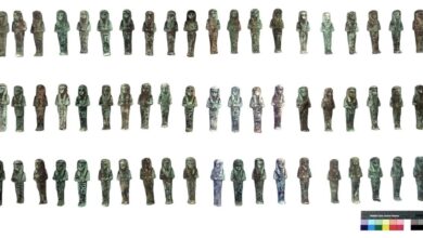 تانيس تكشف أسرارًا جديدة.. اكتشاف أثري ضخم يضم 225 تمثالًا جنائزيًا للملك شوشنق الثالث بصان الحجر