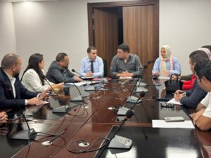 القاهرة الجديدة 