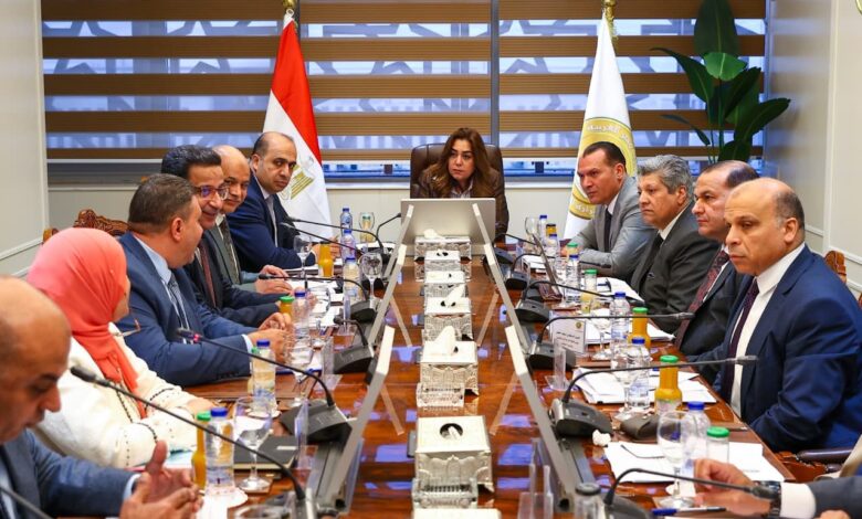 وزيرة التنمية المحلية تبحث مع «المالية» آليات تنمية الموارد الذاتية للمحافظات وتذليل المعوقات