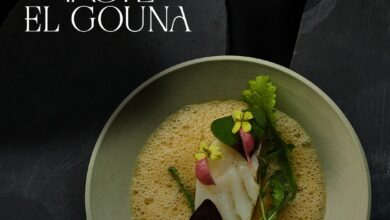 الجونة وFlavor Republic Ventures يطلقان منصة Taste El Gouna لتعزيز السياحة الذوقية