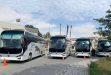 النصر للسيارات.. عودة تاريخية وتحول للربحية لأول مرة منذ عقود