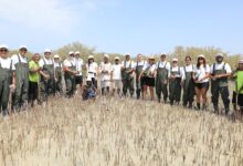 موظفو “توتال إنرجيز للتسويق إيجيبت” يزرعون 1000 شجرة مانغروف في مرسى علم