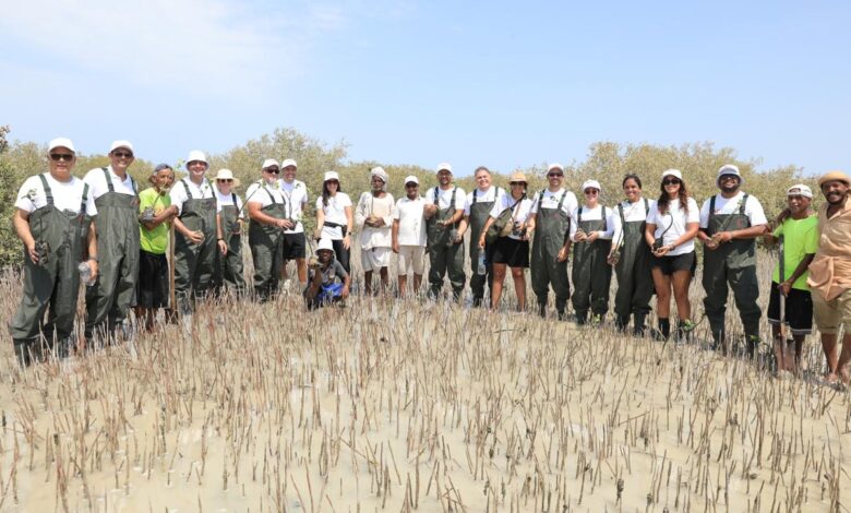 موظفو “توتال إنرجيز للتسويق إيجيبت” يزرعون 1000 شجرة مانغروف في مرسى علم موظفو “توتال إنرجيز للتسويق إيجيبت” يزرعون 1000 شجرة مانغروف في مرسى علم