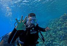 إطلاق أول حملة توعوية بجزيرة الجفتون لدمج ذوي الهمم في العمل البيئي