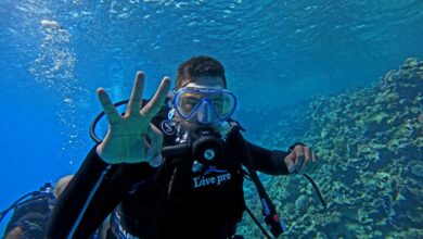 إطلاق أول حملة توعوية بجزيرة الجفتون لدمج ذوي الهمم في العمل البيئي