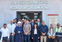 رانيا المشاط: تنفيذ 18 تجمعًا تنمويًا متكاملًا في سيناء لتحقيق التنمية الشاملة