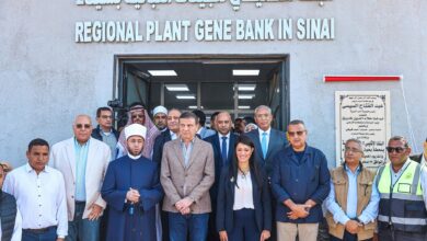 رانيا المشاط: تنفيذ 18 تجمعًا تنمويًا متكاملًا في سيناء لتحقيق التنمية الشاملة رانيا المشاط: تنفيذ 18 تجمعًا تنمويًا متكاملًا في سيناء لتحقيق التنمية الشاملة