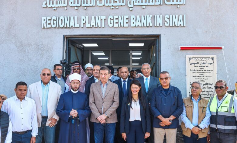 رانيا المشاط: تنفيذ 18 تجمعًا تنمويًا متكاملًا في سيناء لتحقيق التنمية الشاملة رانيا المشاط: تنفيذ 18 تجمعًا تنمويًا متكاملًا في سيناء لتحقيق التنمية الشاملة