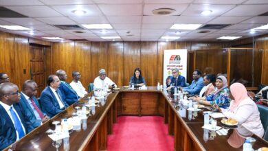 رانيا المشاط في لقاء مع 7 سفراء من أفريقيا: مصر تواصل دعم التنمية ووقف النزاعات داخل القارة