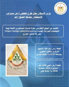 زايد الجديدة 