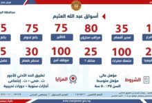 “العمل” تُعلن عن فرص عمل جديدة في عدد من شركات القطاع الخاص بالجيزة