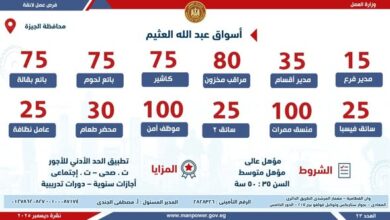 “العمل” تُعلن عن فرص عمل جديدة في عدد من شركات القطاع الخاص بالجيزة “العمل” تُعلن عن فرص عمل جديدة في عدد من شركات القطاع الخاص بالجيزة