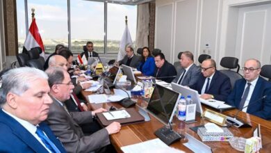 وزير التموين: رفع كفاءة شركات المضارب لضمان استقرار السلع وزير التموين: رفع كفاءة شركات المضارب لضمان استقرار السلع