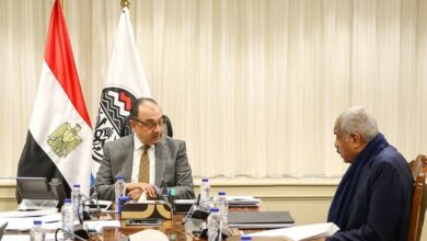 وزارة قطاع الأعمال و«طلعت مصطفى» تضعان خطة تطوير الفنادق التاريخية 