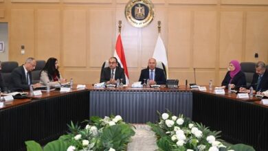 وزير الصناعة والنقل: شراكات بين القطاعين العام والخاص لزيادة إنتاج الغزول وتقليل الواردات