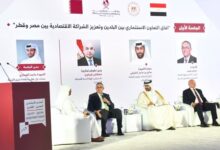 هيبة: المنتدى الاستثماري المصري القطري يعزز التعاون الاقتصادي بين البلدين