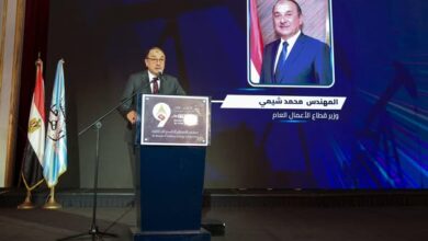 شركات قطاع الأعمال تستثمر 1.2 مليار جنيه في المشروعات البيئية والطاقة