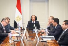 وزير الخارجية يستعرض الرؤية المصرية لتحقيق السلام والتنمية في شرق الكونجو الديمقراطية والوضع في الصومال