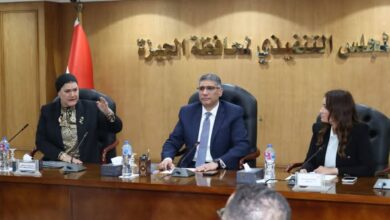 السنباطي ومحافظ الجيزة يترأسان اجتماع اللجنة العامة لحماية الطفل بالمحافظة